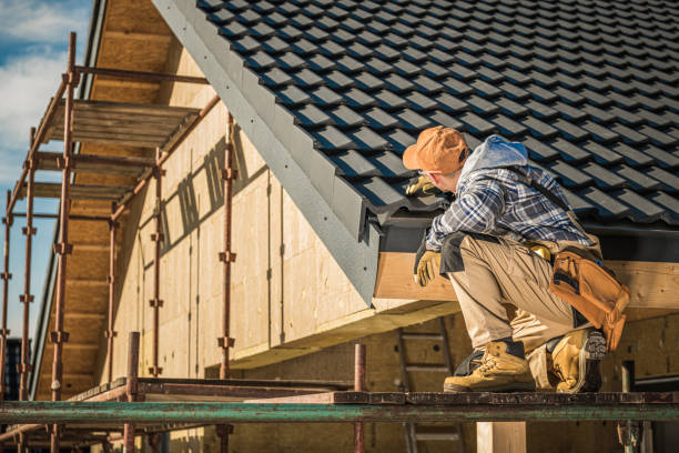 Best Roof Moss and Algae Removal  in Beaver Dam Lake, NY